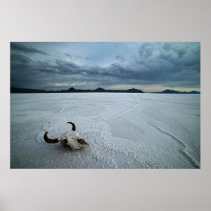 Deserts Bonneville Salt Flats Utah Poster