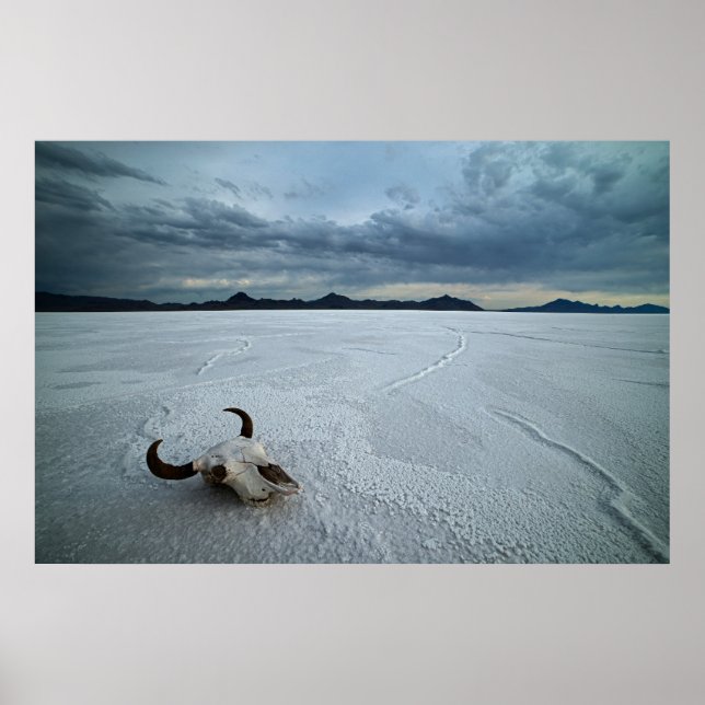 Deserts | Bonneville Salt Flats Utah Poster (Front)