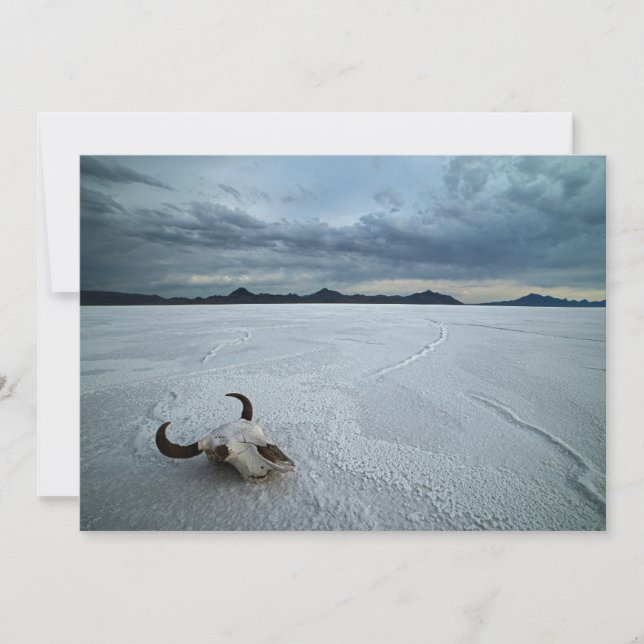 Deserts | Bonneville Salt Flats Utah Thank You Card (Front)