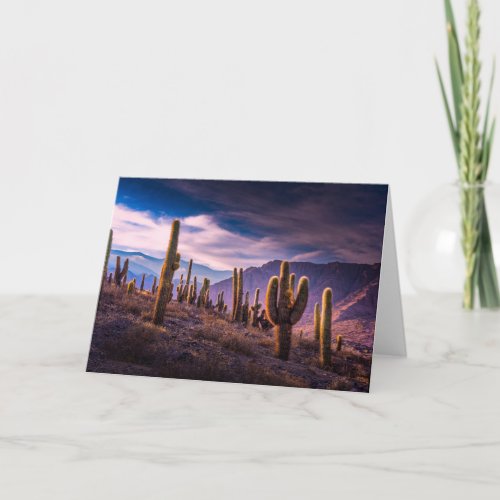 Deserts  Cactus Landscape Argentina Card