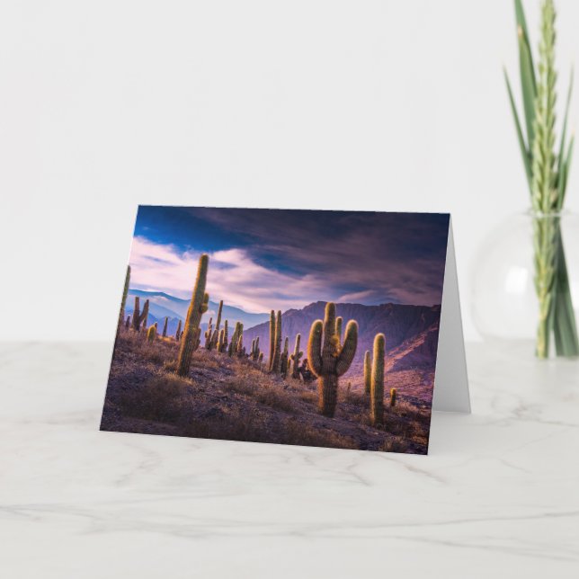 Deserts | Cactus Landscape Argentina Card (Front)
