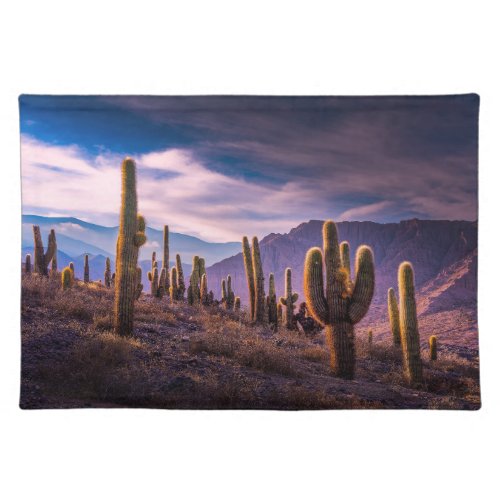 Deserts  Cactus Landscape Argentina Cloth Placemat