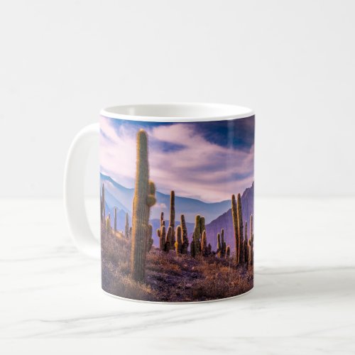Deserts  Cactus Landscape Argentina Coffee Mug