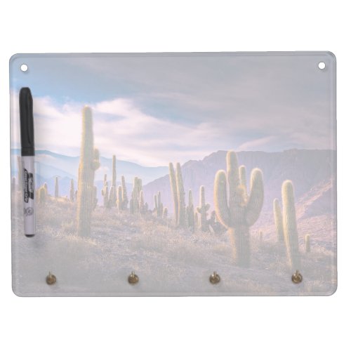 Deserts  Cactus Landscape Argentina Dry Erase Board With Keychain Holder