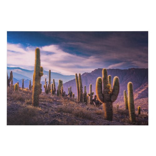 Deserts  Cactus Landscape Argentina Faux Canvas Print