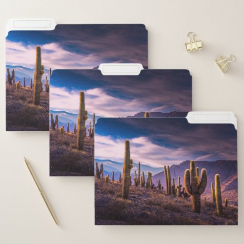 Deserts  Cactus Landscape Argentina File Folder