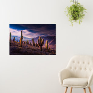 Deserts   Cactus Landscape Argentina Foam Board