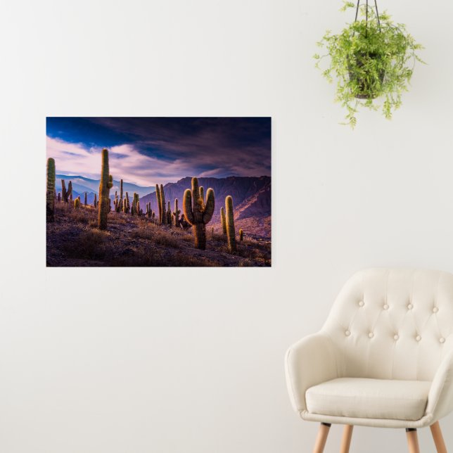Deserts | Cactus Landscape Argentina Foam Board (In Situ (Wall))