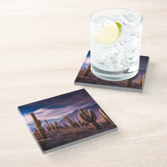 Deserts | Cactus Landscape Argentina Glass Coaster (Angled)