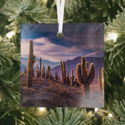 Deserts  Cactus Landscape Argentina Glass Ornament