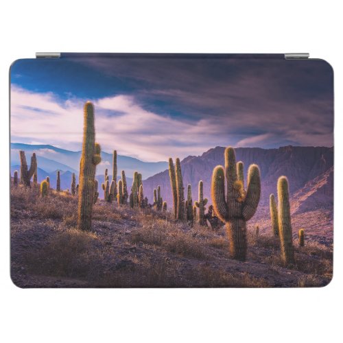 Deserts  Cactus Landscape Argentina iPad Air Cover