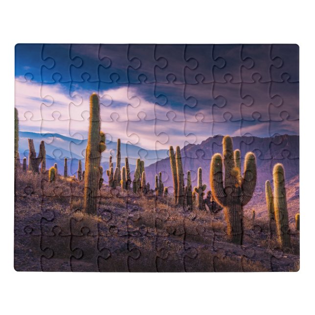Deserts | Cactus Landscape Argentina Jigsaw Puzzle (Puzzle Horizontal)