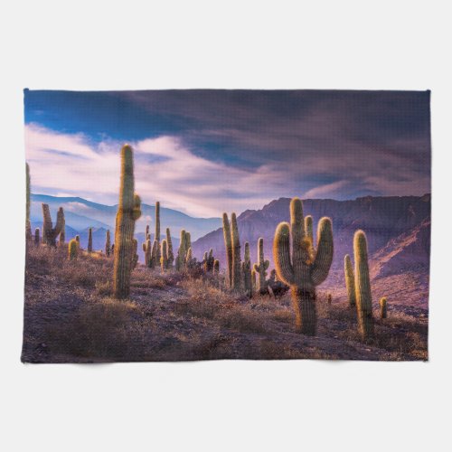 Deserts  Cactus Landscape Argentina Kitchen Towel