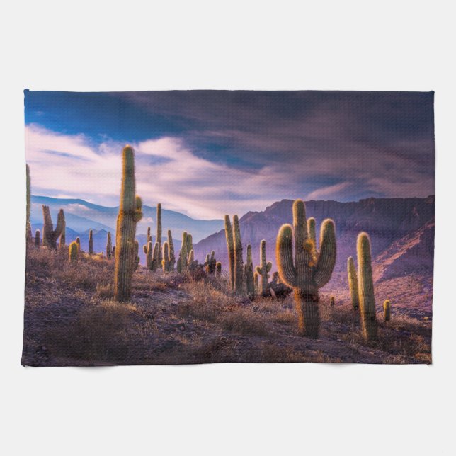 Deserts | Cactus Landscape Argentina Kitchen Towel (Horizontal)