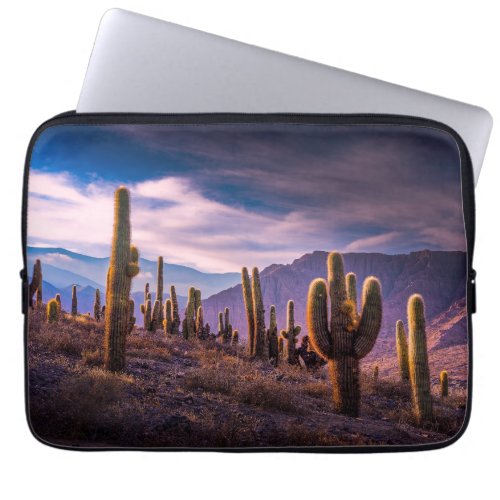 Deserts  Cactus Landscape Argentina Laptop Sleeve