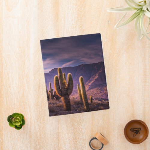 Deserts  Cactus Landscape Argentina Mini Binder