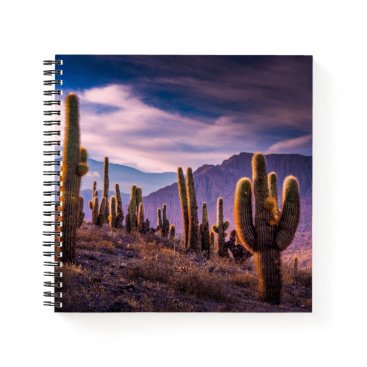 Deserts | Cactus Landscape Argentina Notebook Deserts | Cactus Landscape Argentina Notebook