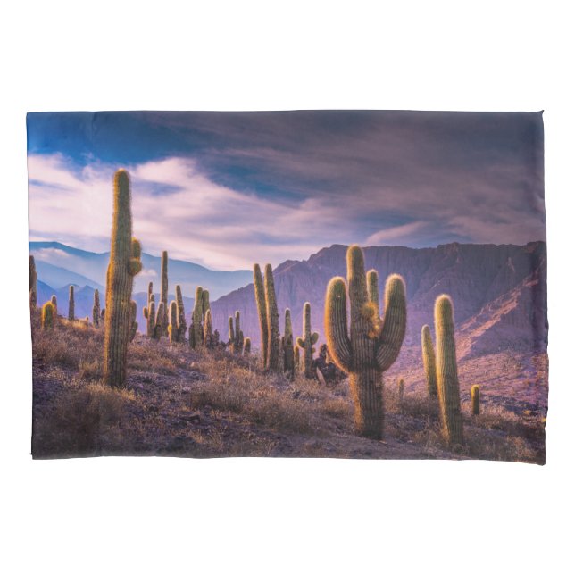 Deserts | Cactus Landscape Argentina Pillow Case (Front)