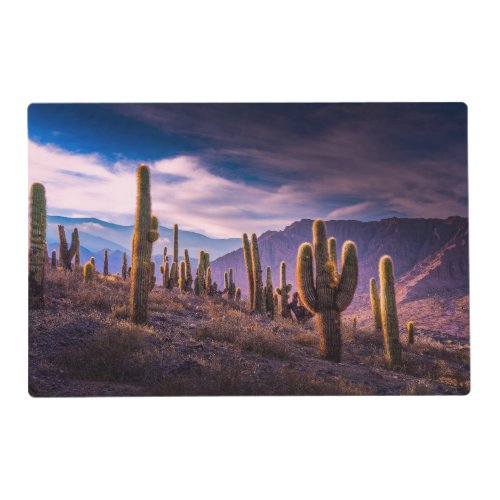 Deserts  Cactus Landscape Argentina Placemat