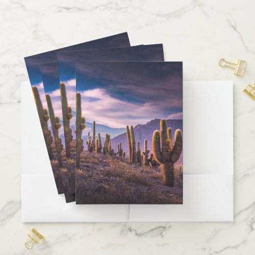 Deserts  Cactus Landscape Argentina Pocket Folder