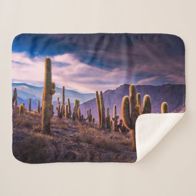 Deserts | Cactus Landscape Argentina Sherpa Blanket (Front (Horizontal))