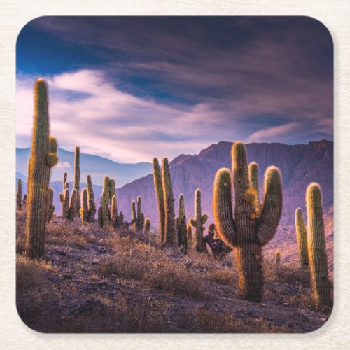 Deserts  Cactus Landscape Argentina Square Paper Coaster