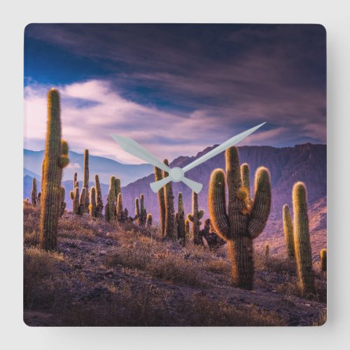 Deserts  Cactus Landscape Argentina Square Wall Clock