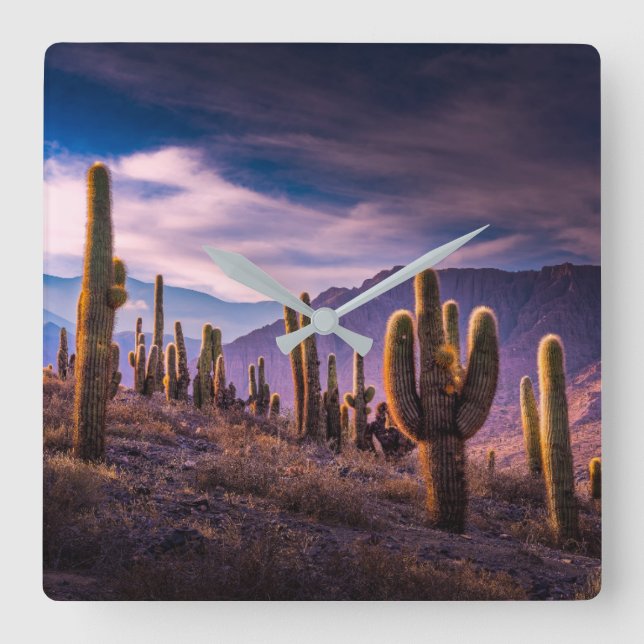 Deserts | Cactus Landscape Argentina Square Wall Clock (Front)