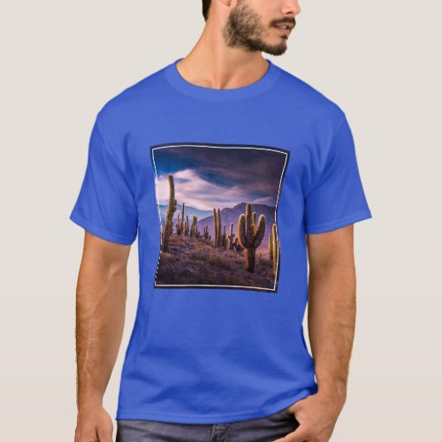 Deserts  Cactus Landscape Argentina T_Shirt