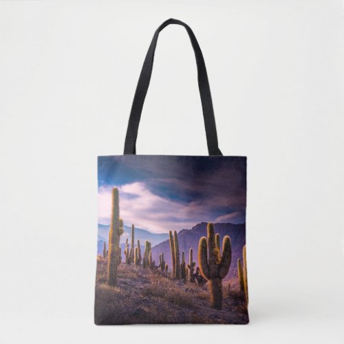 Deserts  Cactus Landscape Argentina Tote Bag