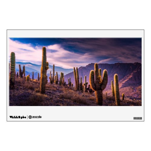 Deserts  Cactus Landscape Argentina Wall Decal