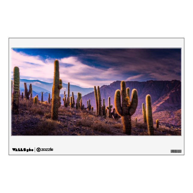 Deserts | Cactus Landscape Argentina Wall Decal (Front)
