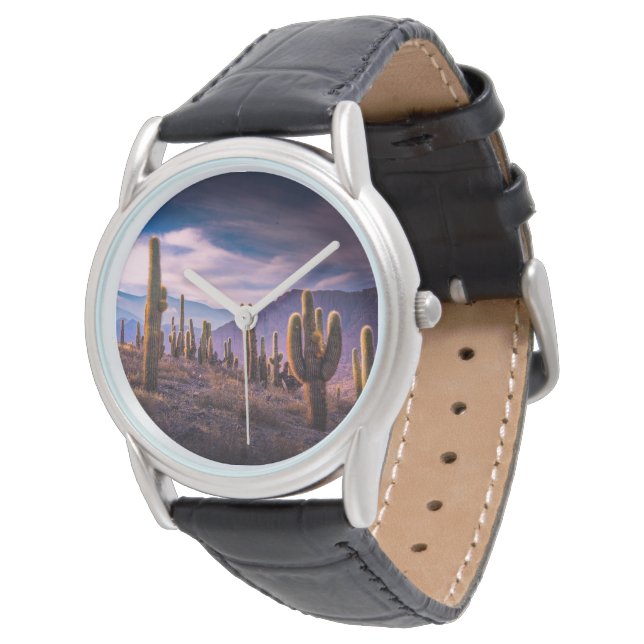Deserts | Cactus Landscape Argentina Watch (Angled)