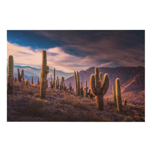 Deserts  Cactus Landscape Argentina Wood Wall Art