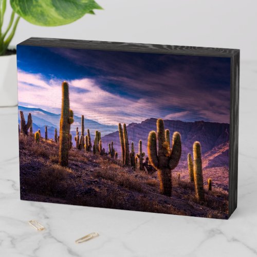 Deserts  Cactus Landscape Argentina Wooden Box Sign
