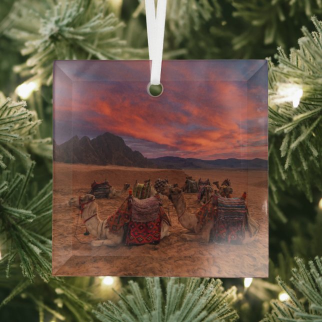 Deserts | Camels Sinai Mountains Egypt Glass Ornament (Insitu)