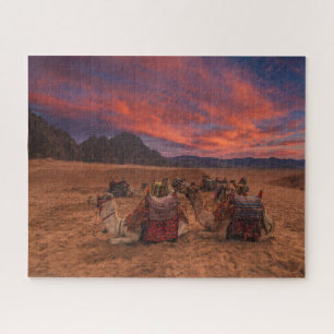 Deserts   Camels Sinai Mountains Egypt Jigsaw Puzzle