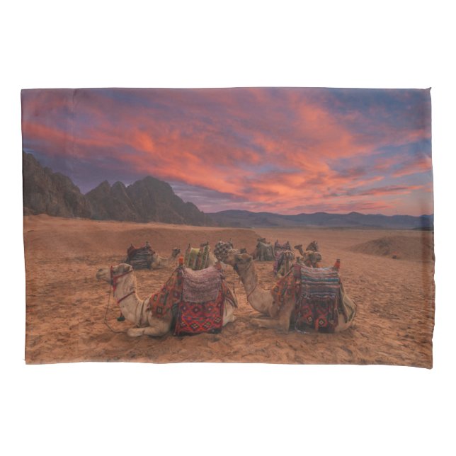 Deserts | Camels Sinai Mountains Egypt Pillow Case (Front)
