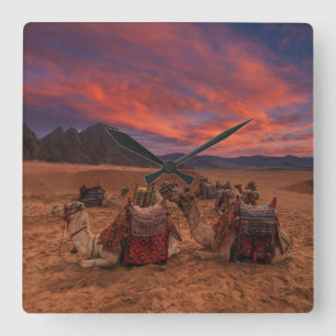 Deserts Camels Sinai Mountains Egypt Square Wall Clock