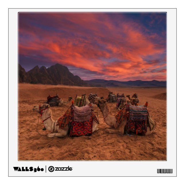 Deserts | Camels Sinai Mountains Egypt Wall Decal (Front)