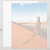 Deserts | Cheetah Savannah Desert (Front/Back)