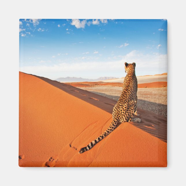 Deserts | Cheetah Savannah Desert Magnet (Front)