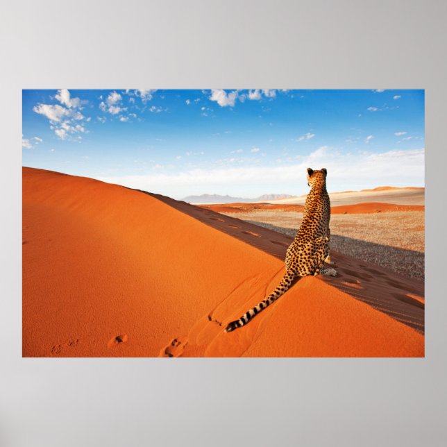 Deserts | Cheetah Savannah Desert Poster (Front)