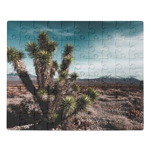 Deserts | Cholla Cactus Jigsaw Puzzle (Puzzle Horizontal)