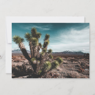 Deserts Cholla Cactus Thank You Card
