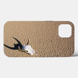 Deserts Cow Skull on the Desert Ground iPhone 13 Case