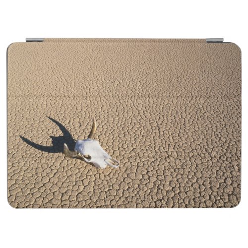 Deserts  Cow Skull on the Desert Ground iPad Air Cover