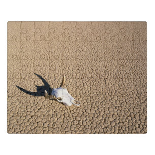 Deserts   Cow Skull on the Desert Ground Jigsaw Puzzle