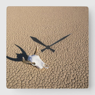 Deserts Cow Skull on the Desert Ground Square Wall Clock