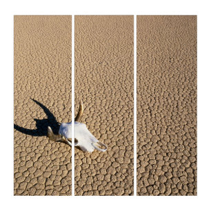 Deserts Cow Skull on the Desert Ground Triptych